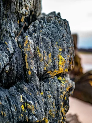 Extracción de piedra ornamental,piedra caliza, yeso, creta y pizarra